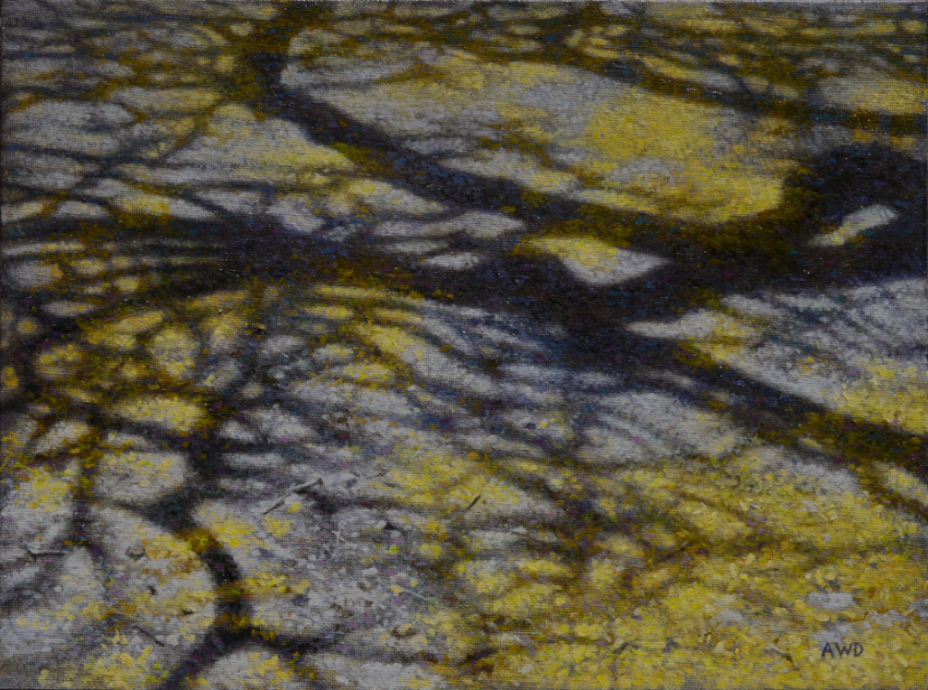 Palo Verde Shadows by Andrew Denman